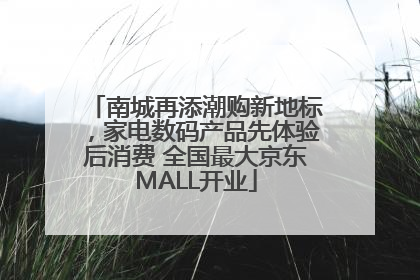 南城再添潮购新地标，家电数码产品先体验后消费 全国最大京东MALL开业