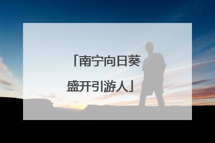 南宁向日葵盛开引游人