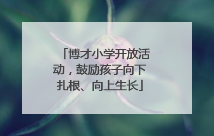 博才小学开放活动，鼓励孩子向下扎根、向上生长
