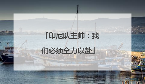印尼队主帅：我们必须全力以赴