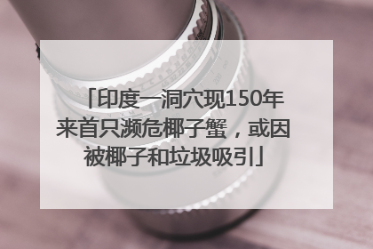 印度一洞穴现150年来首只濒危椰子蟹，或因被椰子和垃圾吸引