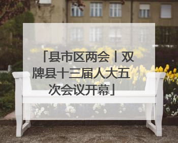 县市区两会丨双牌县十三届人大五次会议开幕