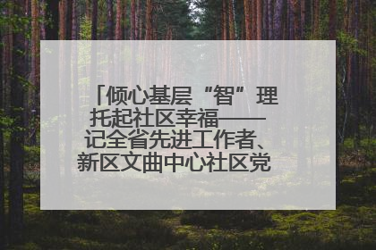 倾心基层“智”理 托起社区幸福——记全省先进工作者、新区文曲中心社区党委书记董世弘