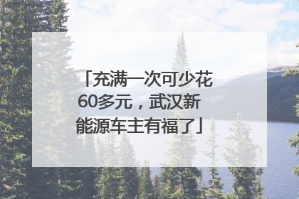 充满一次可少花60多元，武汉新能源车主有福了
