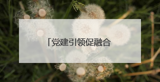 党建引领促融合 宜宾江安四面山镇中心幼儿园开展县级课题开题报告会