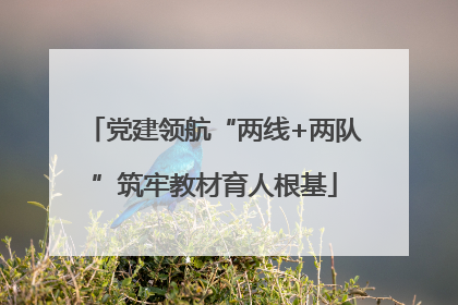 党建领航“两线+两队”筑牢教材育人根基