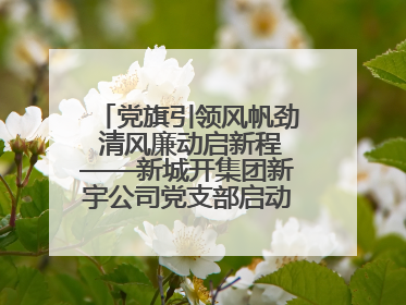 党旗引领风帆劲 清风廉动启新程——新城开集团新宇公司党支部启动“清风廉动党旗红”系列活动