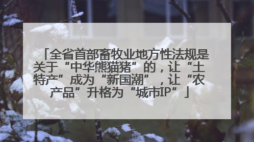 全省首部畜牧业地方性法规是关于“中华熊猫猪”的，让“土特产”成为“新国潮”，让“农产品”升格为“城市IP”