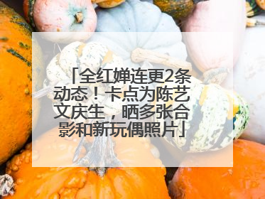 全红婵连更2条动态！卡点为陈艺文庆生，晒多张合影和新玩偶照片