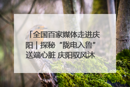 全国百家媒体走进庆阳｜探秘“陇电入鲁”送端心脏 庆阳驭风沐光点亮齐鲁万家