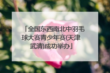 全国东西南北中羽毛球大赛青少年赛(天津武清)成功举办