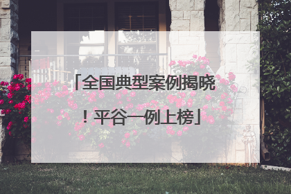 全国典型案例揭晓！平谷一例上榜