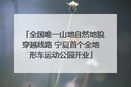 全国唯一山地自然地貌穿越线路 宁夏首个全地形车运动公园开业