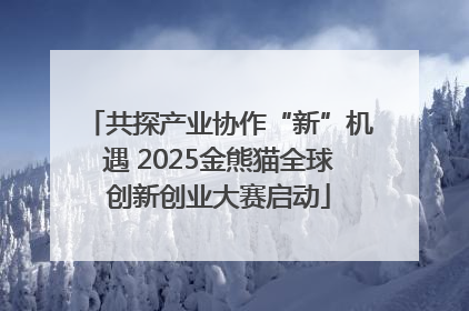 共探产业协作“新”机遇 2025金熊猫全球创新创业大赛启动