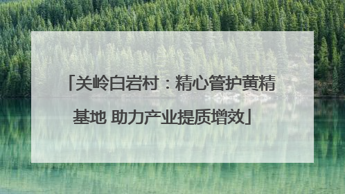 关岭白岩村：精心管护黄精基地 助力产业提质增效