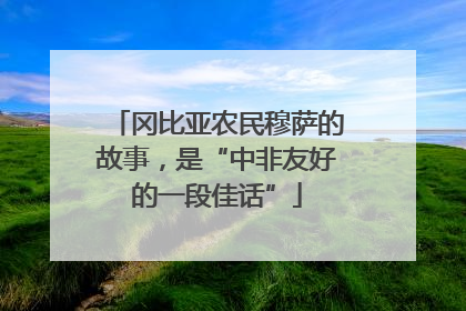 冈比亚农民穆萨的故事，是“中非友好的一段佳话”