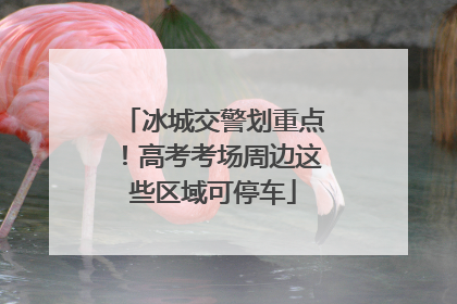 冰城交警划重点！高考考场周边这些区域可停车