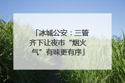 冰城公安：三管齐下让夜市“烟火气”有味更有序