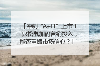 冲刺“A+H”上市！三只松鼠加码营销投入，能否重振市场信心？