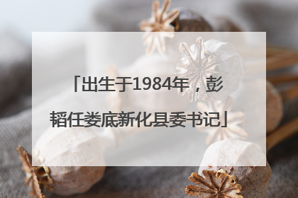 出生于1984年，彭韬任娄底新化县委书记