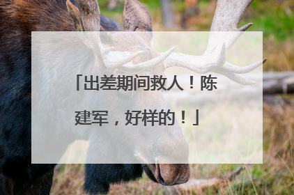 出差期间救人！陈建军，好样的！