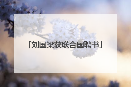刘国梁获联合国聘书