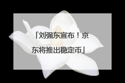 刘强东宣布！京东将推出稳定币