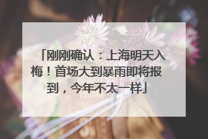 刚刚确认：上海明天入梅！首场大到暴雨即将报到，今年不太一样