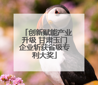 创新赋能产业升级 甘肃玉门企业斩获省级专利大奖