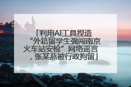 利用AI工具捏造 “外籍留学生强闯南京火车站安检”网络谣言，张某燕被行政拘留