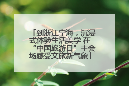 到浙江宁海，沉浸式体验生活美学 在“中国旅游日”主会场感受文旅新气象