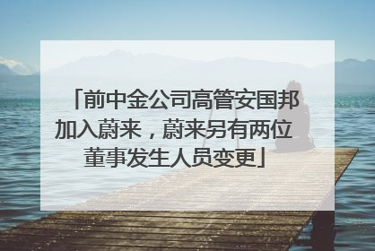 前中金公司高管安国邦加入蔚来，蔚来另有两位董事发生人员变更