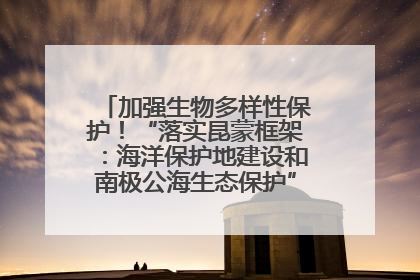 加强生物多样性保护！“落实昆蒙框架：海洋保护地建设和南极公海生态保护”主题论坛将举办