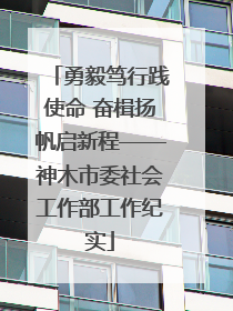 勇毅笃行践使命 奋楫扬帆启新程——神木市委社会工作部工作纪实