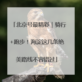 北京号最精彩｜骑行+跑步！海淀这几条绝美路线不容错过