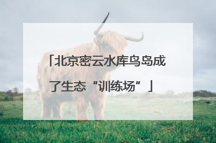 北京密云水库鸟岛成了生态“训练场”