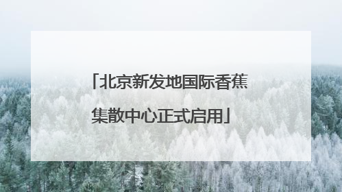北京新发地国际香蕉集散中心正式启用