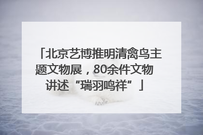 北京艺博推明清禽鸟主题文物展，80余件文物讲述“瑞羽鸣祥”