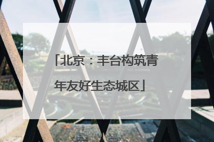 北京：丰台构筑青年友好生态城区