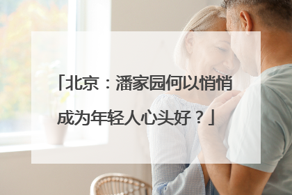 北京：潘家园何以悄悄成为年轻人心头好？