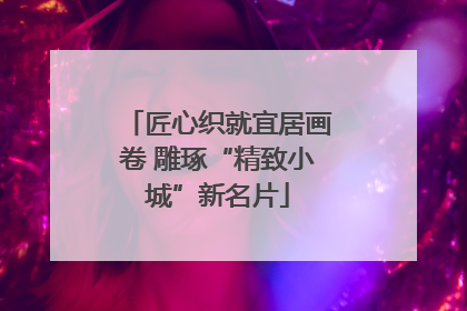 匠心织就宜居画卷 雕琢“精致小城”新名片