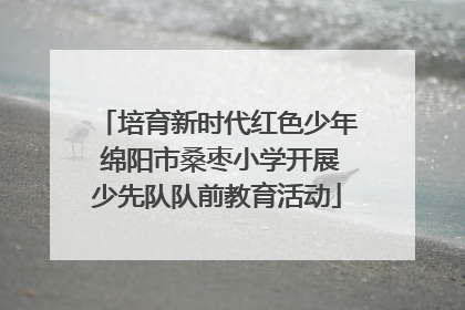培育新时代红色少年 绵阳市桑枣小学开展少先队队前教育活动