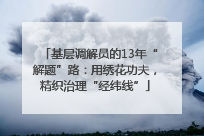 基层调解员的13年“解题”路：用绣花功夫，精织治理“经纬线”