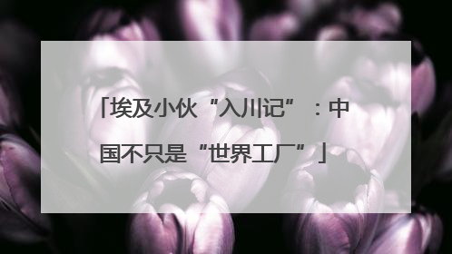 埃及小伙“入川记”：中国不只是“世界工厂”