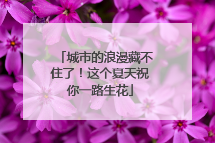 城市的浪漫藏不住了！这个夏天祝你一路生花
