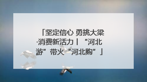 坚定信心 勇挑大梁·消费新活力丨“河北游”带火“河北购”