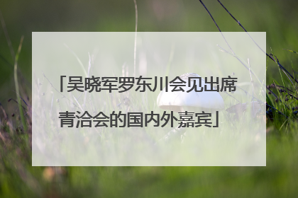 吴晓军罗东川会见出席青洽会的国内外嘉宾