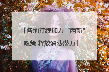 各地持续加力“两新”政策 释放消费潜力