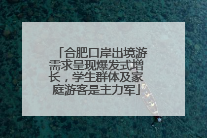 合肥口岸出境游需求呈现爆发式增长，学生群体及家庭游客是主力军