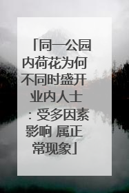 同一公园内荷花为何不同时盛开 业内人士：受多因素影响 属正常现象